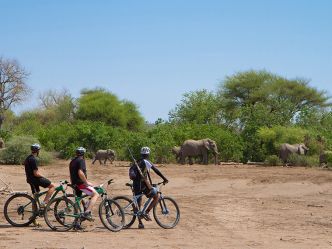 Mashatu Game Reserve, Tuli Mashatu Game Reserve, Tuli