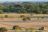 Mashatu Game Reserve, Tuli Mashatu Game Reserve, Tuli