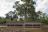 Mashatu Game Reserve, Tuli Mashatu Game Reserve, Tuli