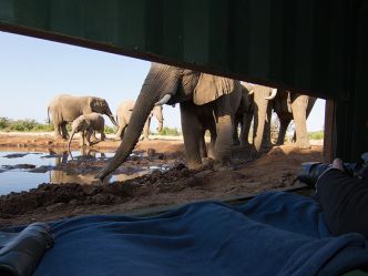 Mashatu Game Reserve, Tuli Mashatu Game Reserve, Tuli