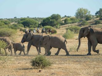 Mashatu Game Reserve, Tuli Mashatu Game Reserve, Tuli