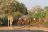 Mashatu Game Reserve, Tuli Mashatu Game Reserve, Tuli