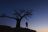 Mashatu Game Reserve, Tuli Mashatu Game Reserve, Tuli