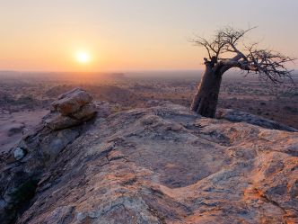 Mashatu Game Reserve, Tuli Mashatu Game Reserve, Tuli