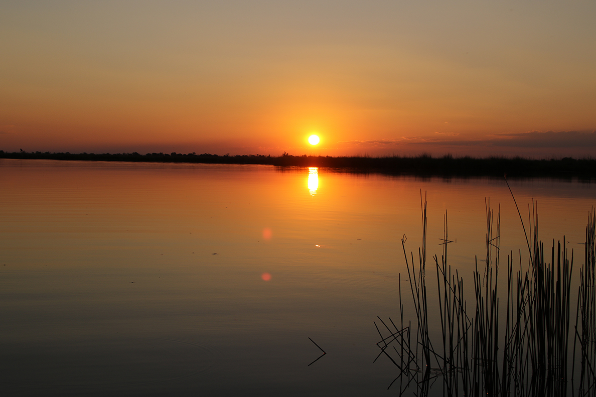 Moremi Game Reserve - Abendstimmung
