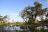 Moremi Game Reserve