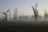 Moremi Game Reserve - Morgenstimmung