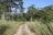 Moremi Game Reserve
