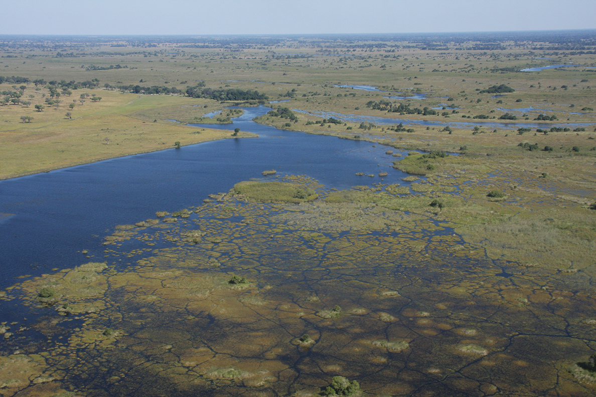 Im Kleinflugzeug über dem Okavango Delta