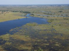 Im Kleinflugzeug über dem Okavango Delta