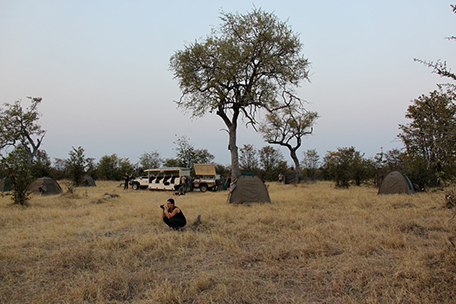 Buffalo Safari - Camping im Busch