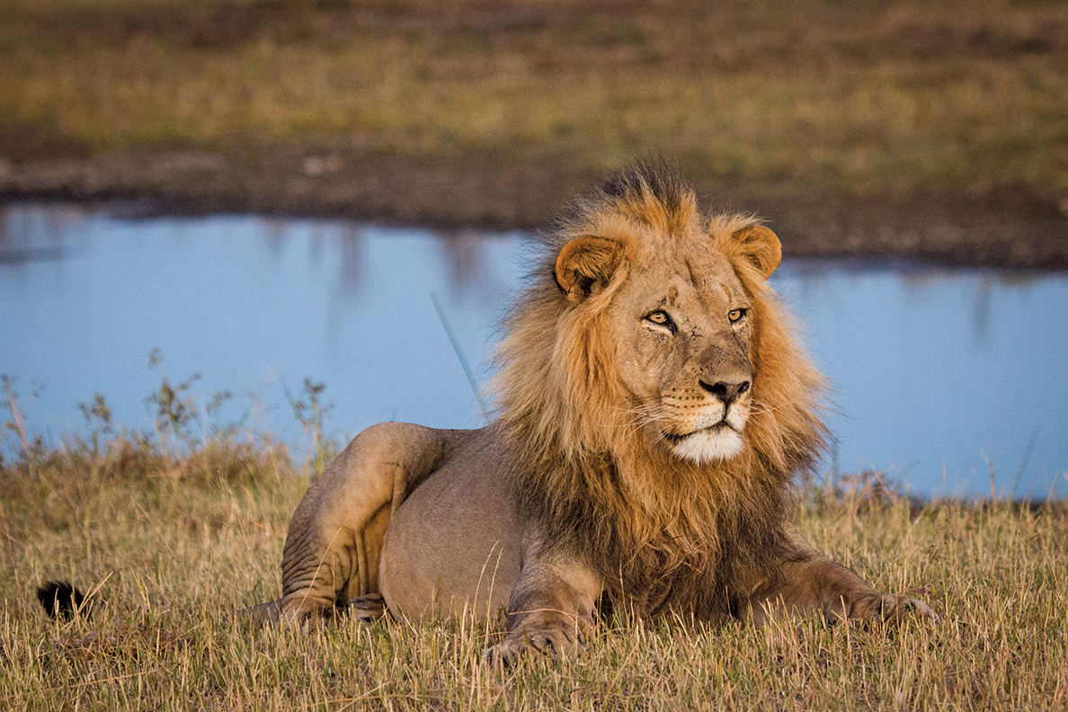 Makgadikgadi National Park