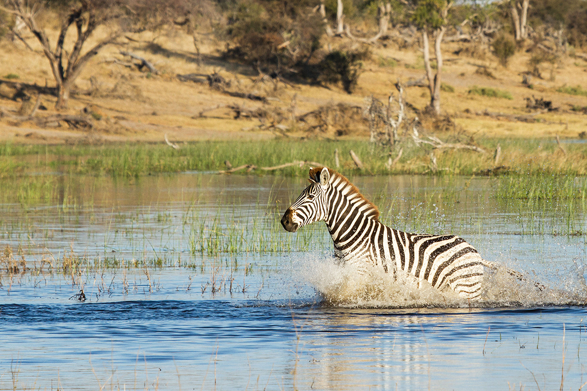 Makgadikgadi National Park