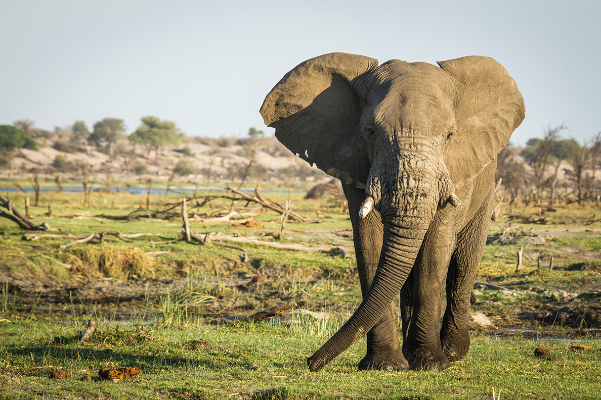 Makgadikgadi National Park