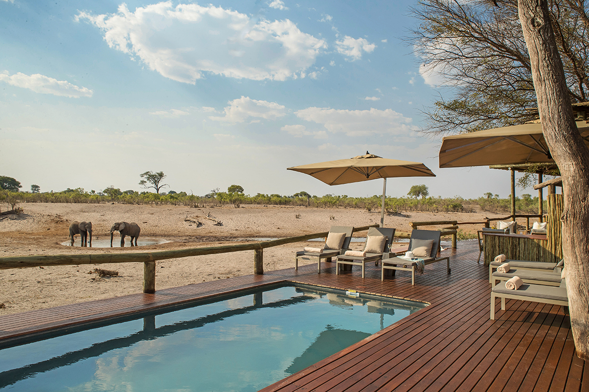 Savute Safari Lodge