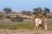 Makgadikgadi National Park