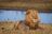 Makgadikgadi National Park