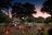 Under Canvas Camps