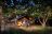 Under Canvas Camps