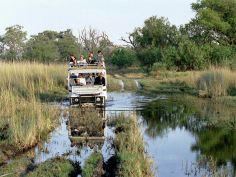 Botswana Express - manchmal geht es auch durch Wasser