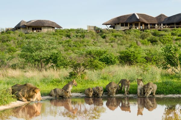Botswana Kaleidoskop | 10 Tage Flugsafari