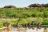 Tau Pan Camp im Central Kalahari Game Reserve