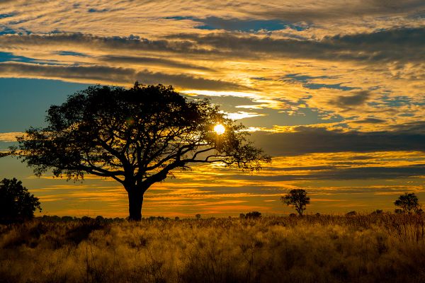 Flugsafari Botswana Kaleidoscope