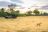Splash Camp im Kwando Game Reserve