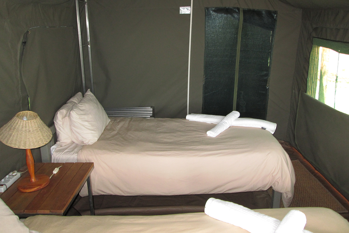 Botswana Overland Safari - Maun Zelt