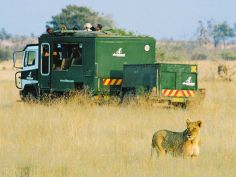 Botswana Overland Safari - auf Pirschfahrt
