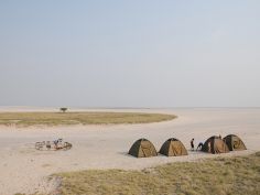 Botswana Overland Safari - Campsite