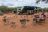 Botswana Overland Safari - Campsite