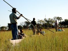 Botswana Overland Safari - Mokorofahrt