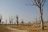 Botswana Overland Safari - Savuti
