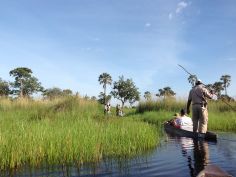 Botswana zu Fuss - Mokoro-Ausflug