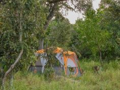 Botswana zu Fuss - Zelt