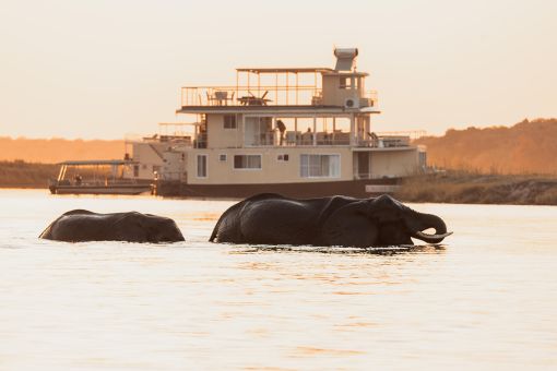 Chobe Princess