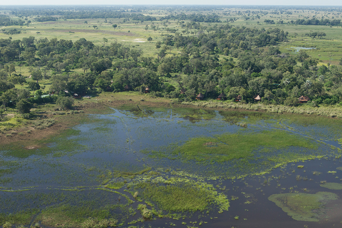 Die grosse Wildnis - Kanana Camp im Okavango Delta