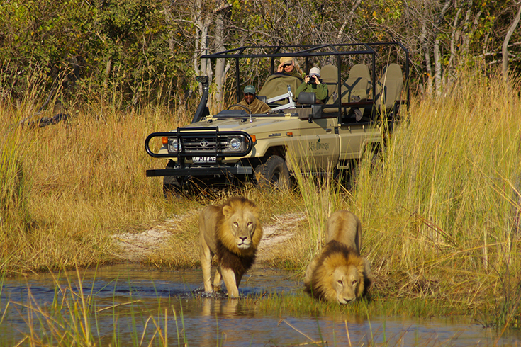 Die grosse Wildnis - Pirschfahrt im Moremi Game Reserve