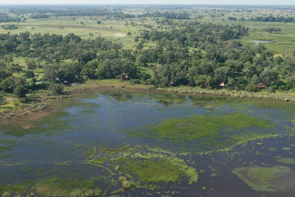 Die grosse Wildnis Flugsafari 