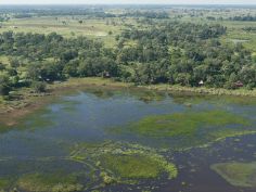 Die grosse Wildnis - Kanana Camp im Okavango Delta