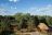 Camp Okavango