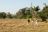 Leichte Wanderung