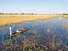 Mokoro Fahrten im Okavango Delta