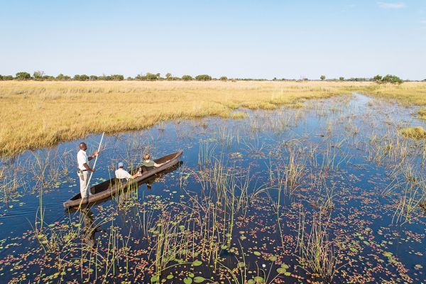 Flugsafari Tsodilo, Okavango und Moremi