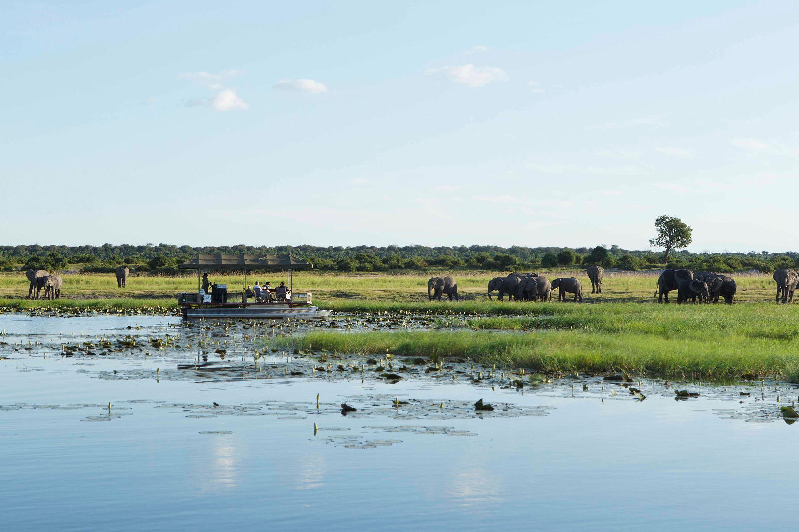 Chobe National Park 