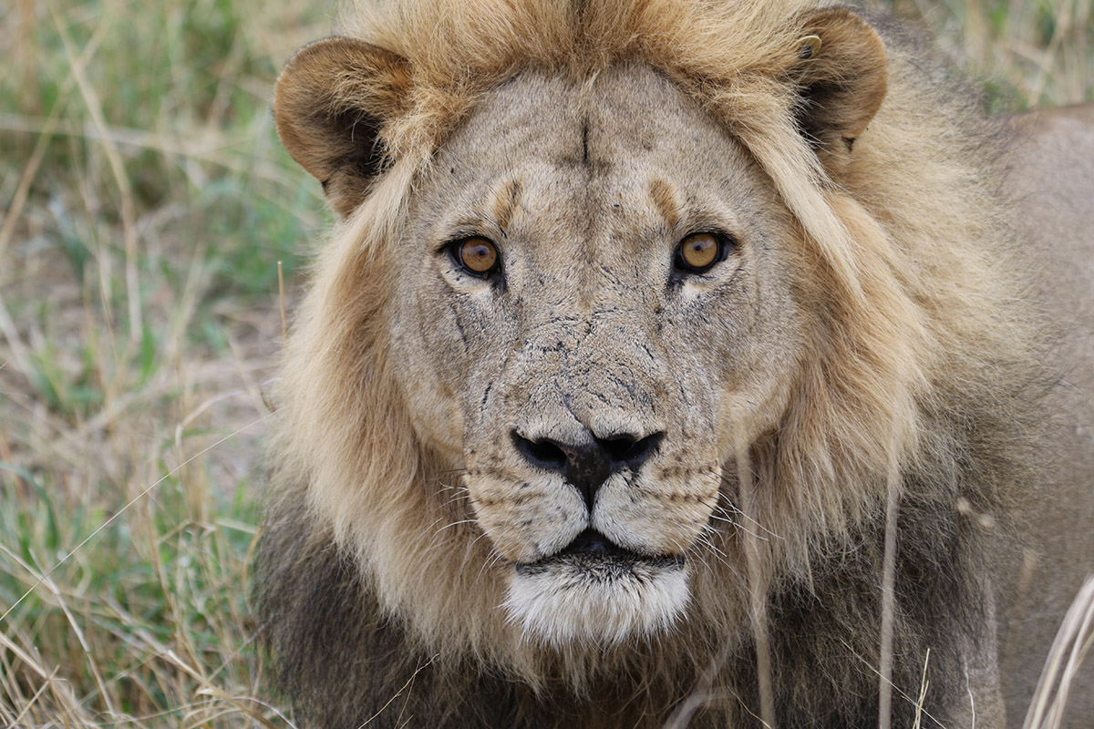 Hwange National Park