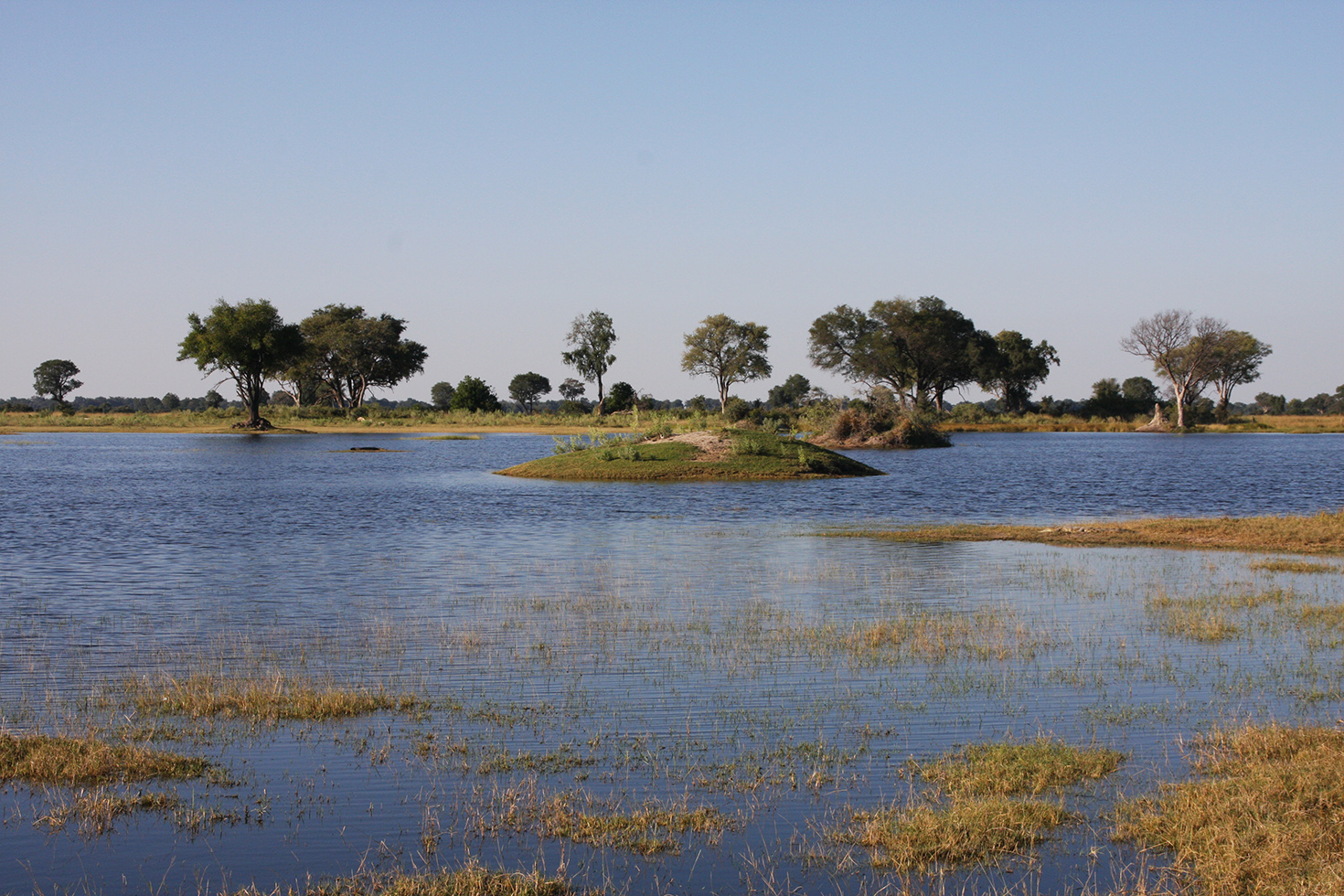 Moremi Game Reserve