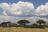 Hwange National Park