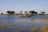 Moremi Game Reserve